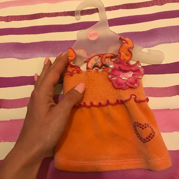 🌺Beautiful XXS doggie's outfit🌺 - Picture 3 of 6